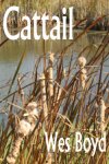 Cattail - small book cover
