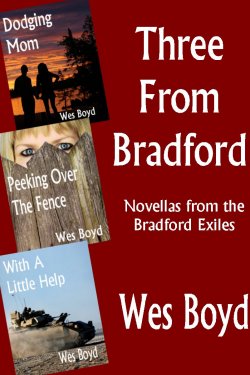 Three From Bradford book cover
