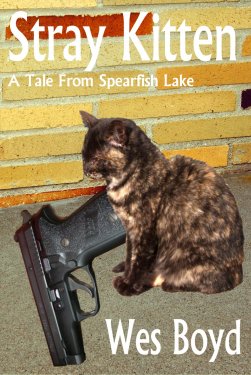 Stray Kitten book cover