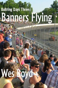 Bullring Days 3 book cover