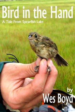 Bird in the Hand book cover