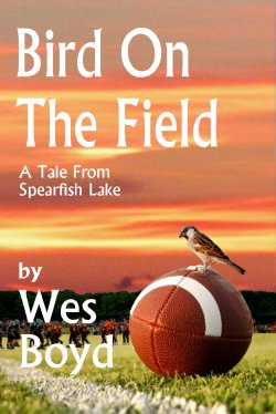 Bird On The Field book cover
