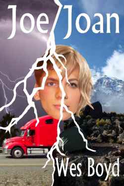Joe/Joan book cover