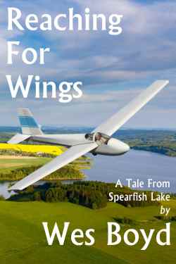 Reaching for Wings book cover